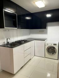 Loft @ Rangoon (D8), Apartment #480327471